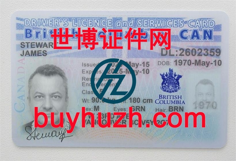 购买加拿大不列颠哥伦比亚省驾驶证