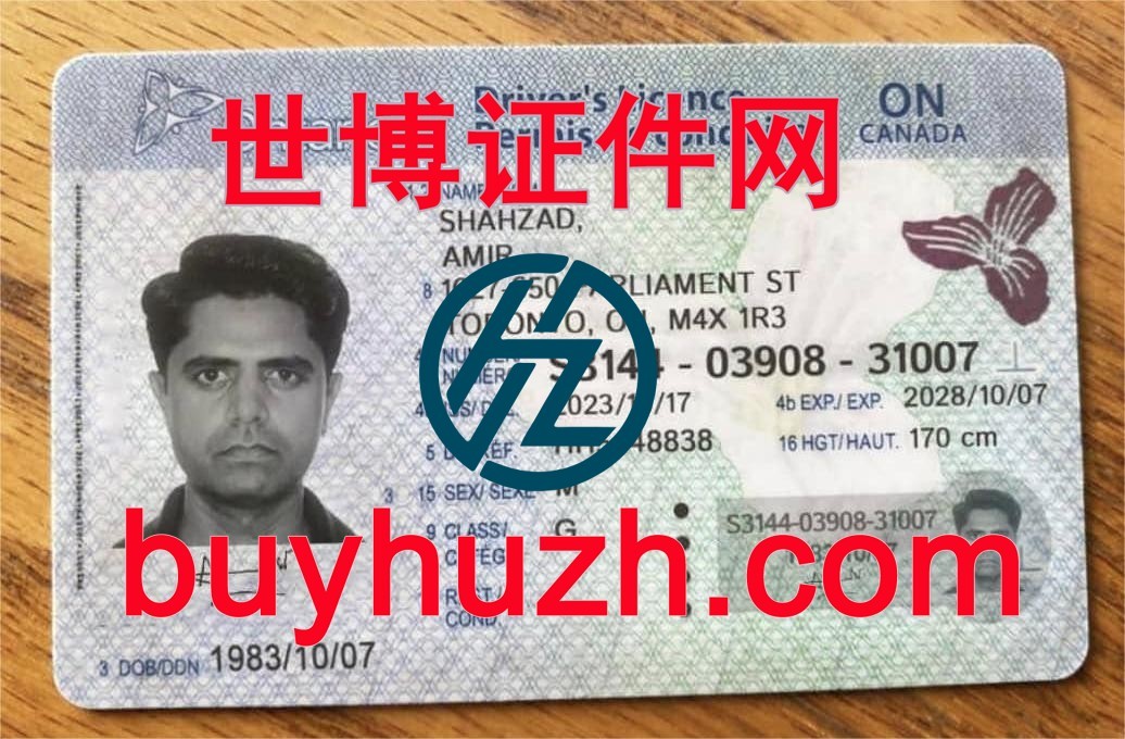 购买加拿大安大略省驾驶证