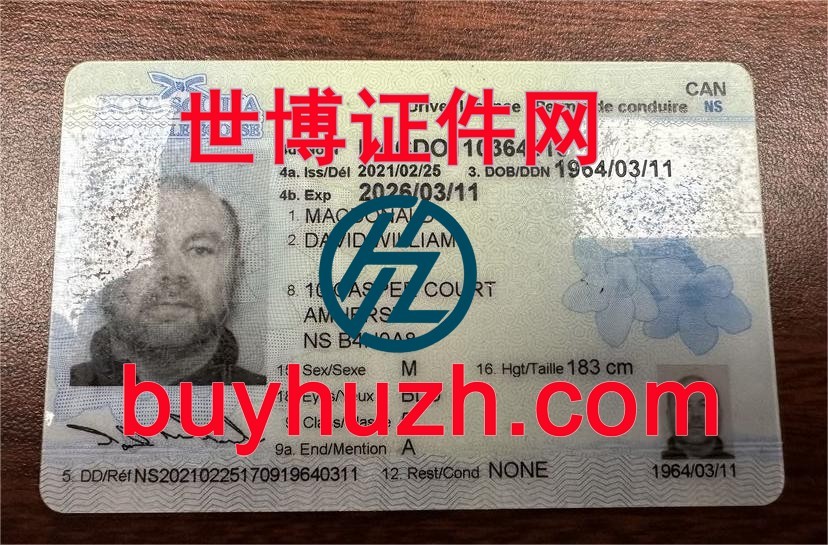 购买加拿大新斯科舍省驾驶证