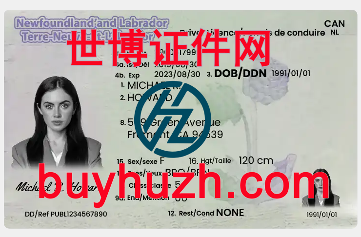 购买加拿大纽芬兰与拉布拉多省驾驶证