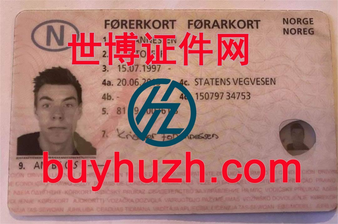 购买挪威驾驶证