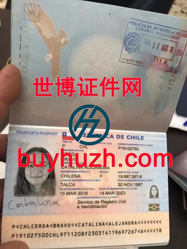 购买智利护照