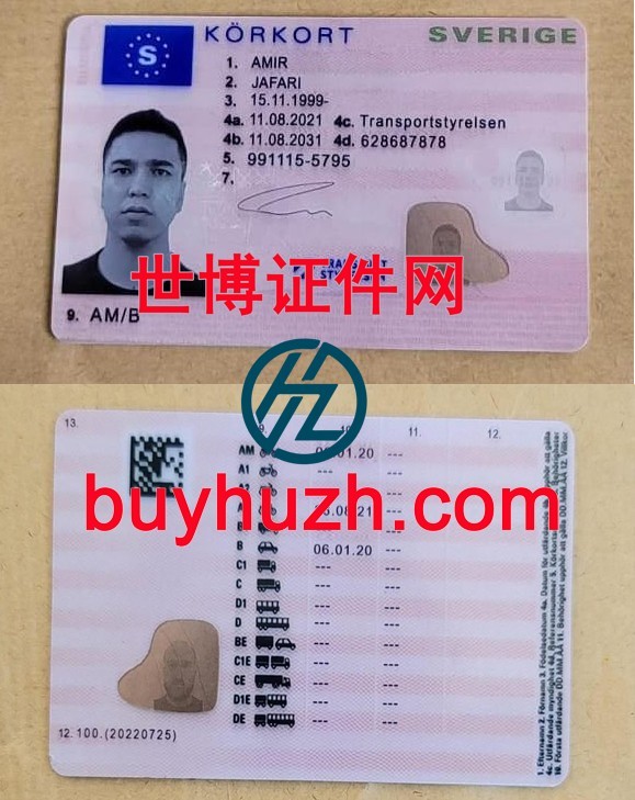 购买瑞典驾驶证