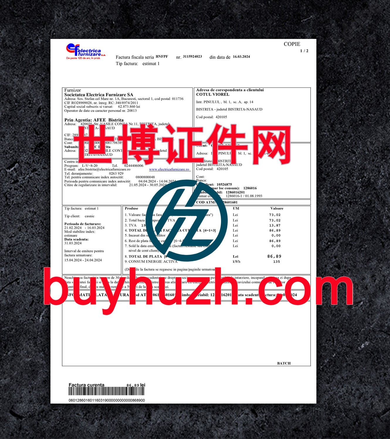 购买罗马尼亚电费账单