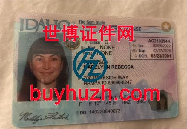 购买美国爱达荷州驾驶证
