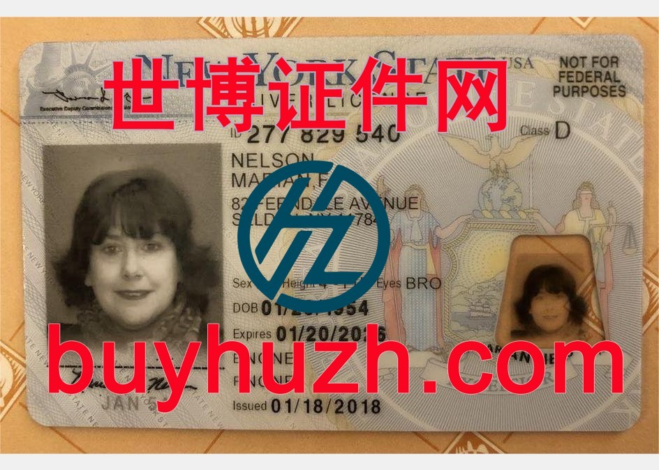 购买美国纽约驾驶证
