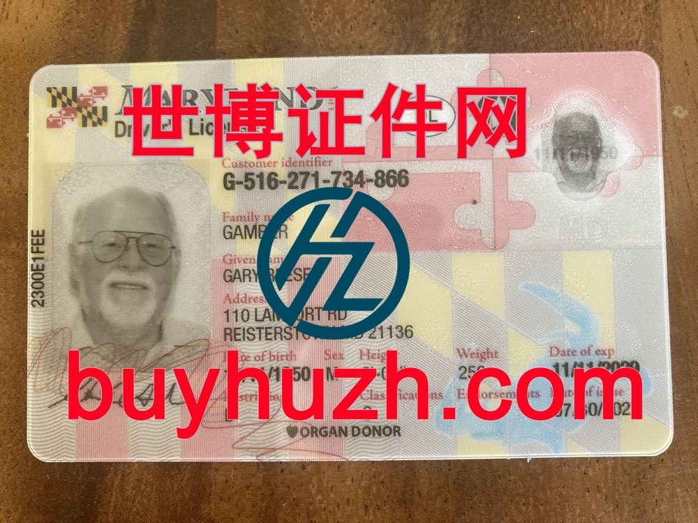 购买美国马里兰州驾驶证