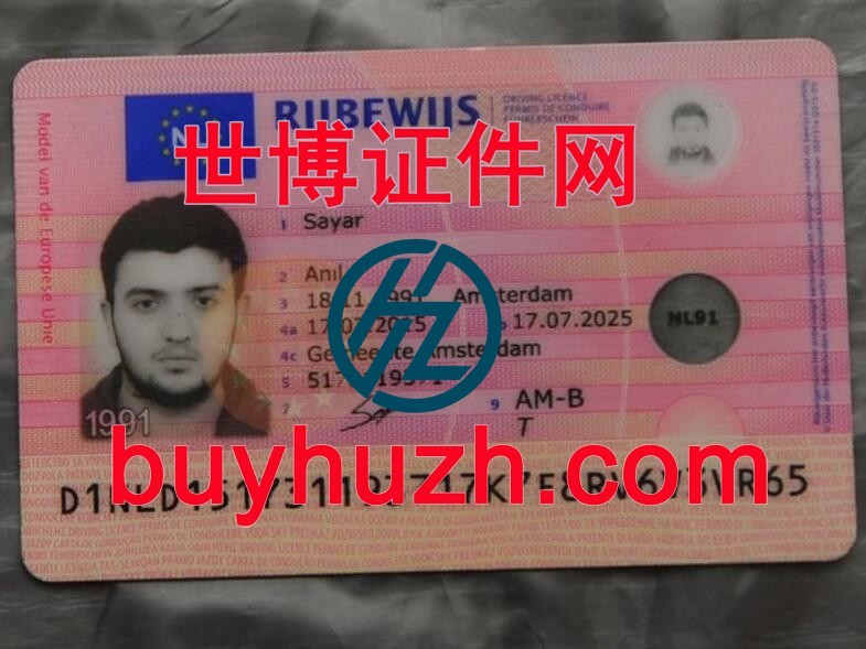 购买荷兰驾驶证