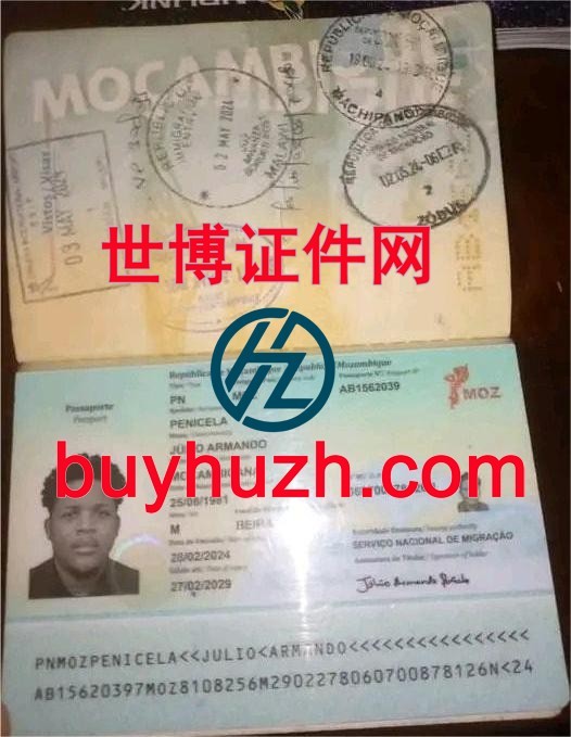 购买莫桑比护照