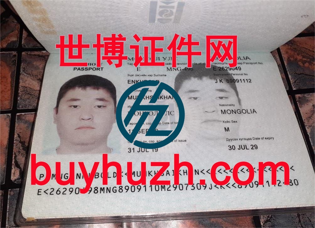 购买蒙古护照